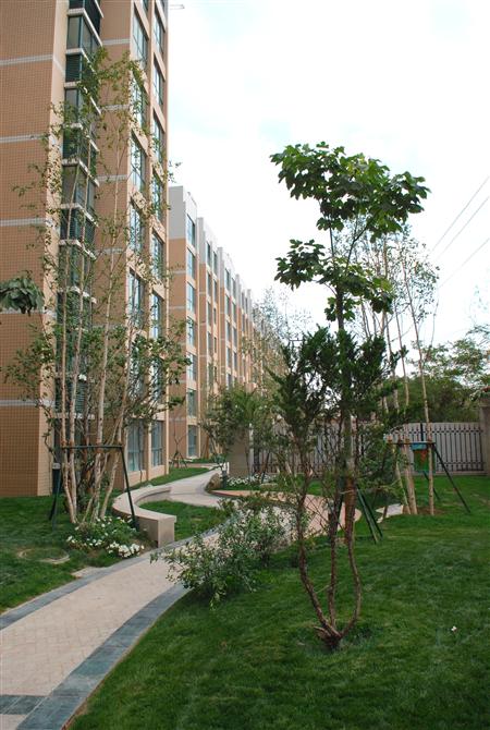 esball��԰���ھֲ����۳��μ��ͣ��׾�ʵ�ģ�