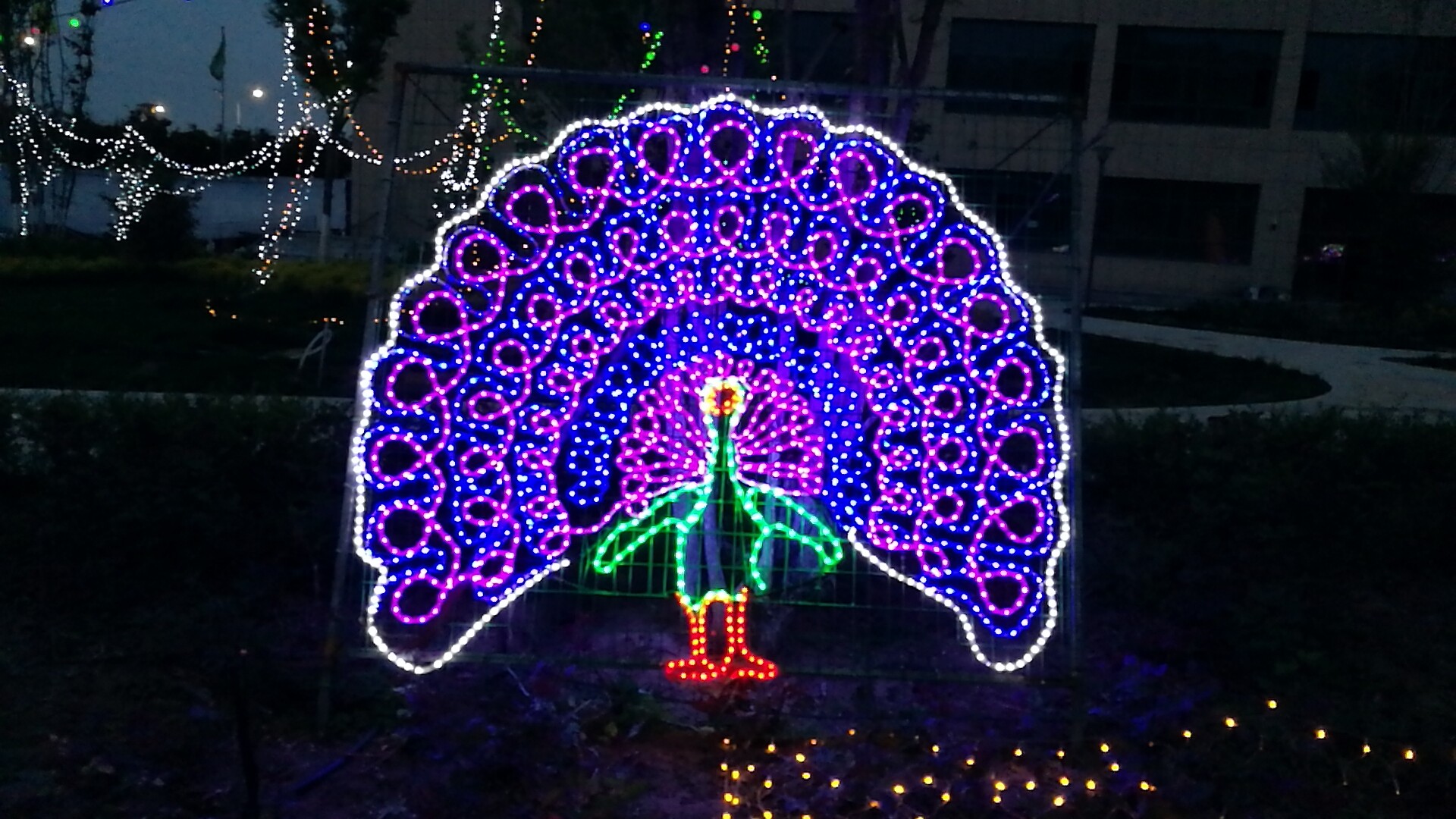 ��������esball��ó�㳡�������ƹ������ڡ��Ӵ��㣡