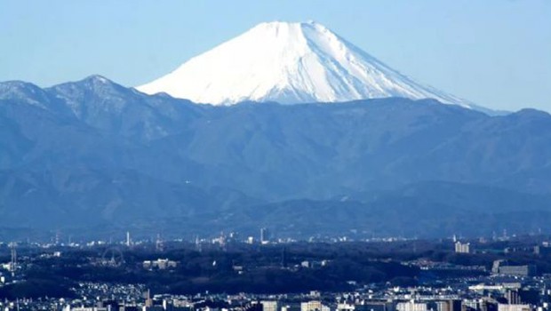 ����esball��������ְԱ������Ա���ֶ����γ������п���Բ��˳�죡